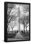 Washington Monument Through Trees-null-Framed Poster