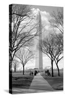 Washington Monument Through Trees-null-Stretched Canvas