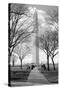 Washington Monument Through Trees-null-Stretched Canvas