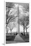 Washington Monument Through Trees-null-Framed Photo