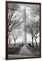 Washington Monument Through Trees-null-Framed Photo