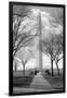 Washington Monument Through Trees-null-Framed Photo