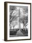 Washington Monument Through Trees-null-Framed Photo