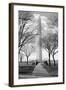 Washington Monument Through Trees-null-Framed Photo