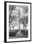 Washington Monument Through Trees-null-Framed Photo