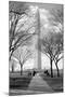 Washington Monument Through Trees-null-Mounted Photo