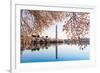 Washington Monument Towers above Blossoms-BackyardProductions-Framed Photographic Print