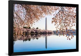 Washington Monument Towers above Blossoms-BackyardProductions-Framed Photographic Print