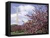 Washington Monument, Washington, D.C., USA-null-Framed Stretched Canvas