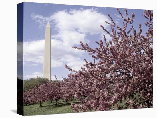 Washington Monument, Washington, D.C., USA-null-Stretched Canvas