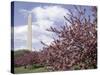 Washington Monument, Washington, D.C., USA-null-Stretched Canvas