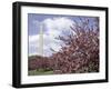 Washington Monument, Washington, D.C., USA-null-Framed Premium Photographic Print