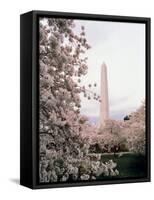 Washington Monument, Washington, D.C., USA-null-Framed Stretched Canvas