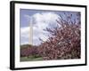 Washington Monument, Washington, D.C., USA-null-Framed Photographic Print