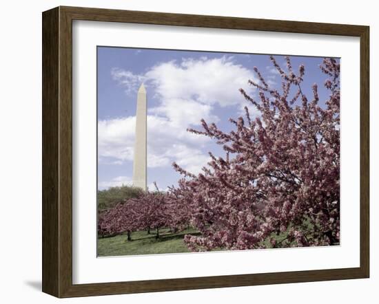 Washington Monument, Washington, D.C., USA-null-Framed Photographic Print