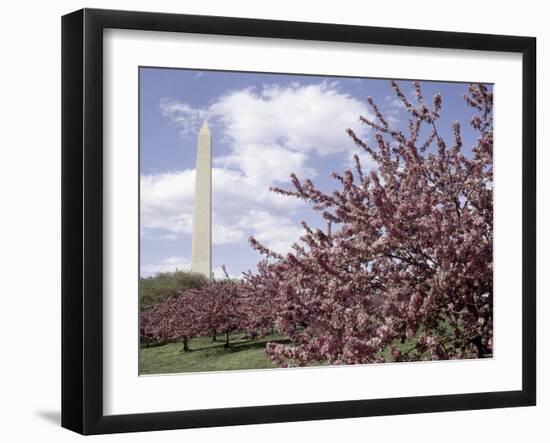 Washington Monument, Washington, D.C., USA-null-Framed Photographic Print