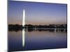 Washington Monument, Washington, D.C., USA-null-Mounted Photographic Print