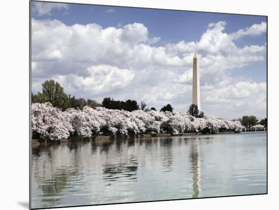 Washington Monument, Washington, D.C. - Vintage Variant-Carol Highsmith-Mounted Art Print