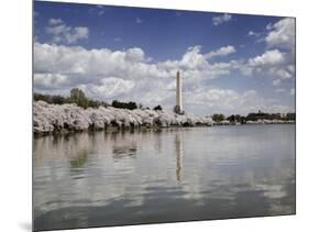 Washington Monument, Washington, D.C.-Carol Highsmith-Mounted Art Print