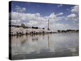 Washington Monument, Washington, D.C.-Carol Highsmith-Stretched Canvas