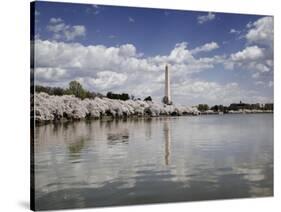 Washington Monument, Washington, D.C.-Carol Highsmith-Stretched Canvas