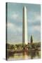 Washington Monument, Washington D.C.-null-Stretched Canvas