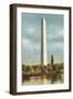 Washington Monument, Washington D.C.-null-Framed Art Print