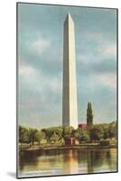 Washington Monument, Washington D.C.-null-Mounted Art Print