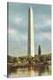 Washington Monument, Washington D.C.-null-Stretched Canvas
