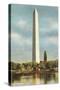 Washington Monument, Washington D.C.-null-Stretched Canvas