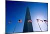 Washington Monument, Washington, Dc, 2006 (Photo)-Kenneth Garrett-Mounted Giclee Print