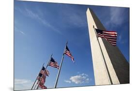 Washington Monument, Washington, DC-Paul Souders-Mounted Premium Photographic Print