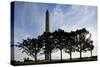 Washington Monument, Washington, DC-Paul Souders-Stretched Canvas