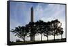 Washington Monument, Washington, DC-Paul Souders-Framed Stretched Canvas