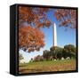 Washington Monument-Ron Chapple-Framed Stretched Canvas