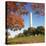 Washington Monument-Ron Chapple-Stretched Canvas