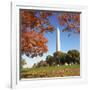 Washington Monument-Ron Chapple-Framed Photographic Print