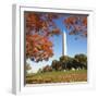 Washington Monument-Ron Chapple-Framed Photographic Print