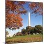 Washington Monument-Ron Chapple-Mounted Photographic Print