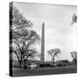 Washington Monument-Anthony Butera-Stretched Canvas