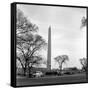 Washington Monument-Anthony Butera-Framed Stretched Canvas