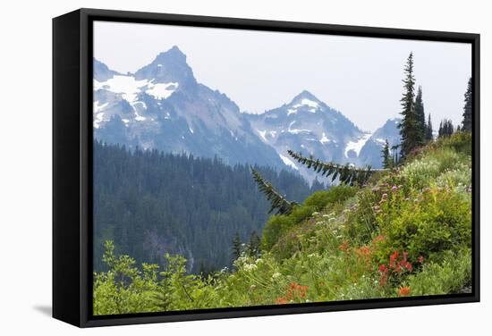 Washington, Mount Rainier National Park. Alpine Meadow and the Tatoosh Range-Jaynes Gallery-Framed Stretched Canvas