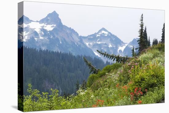 Washington, Mount Rainier National Park. Alpine Meadow and the Tatoosh Range-Jaynes Gallery-Stretched Canvas