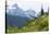 Washington, Mount Rainier National Park. Alpine Meadow and the Tatoosh Range-Jaynes Gallery-Stretched Canvas