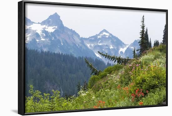 Washington, Mount Rainier National Park. Alpine Meadow and the Tatoosh Range-Jaynes Gallery-Framed Photographic Print