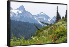 Washington, Mount Rainier National Park. Alpine Meadow and the Tatoosh Range-Jaynes Gallery-Framed Photographic Print