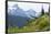 Washington, Mount Rainier National Park. Alpine Meadow and the Tatoosh Range-Jaynes Gallery-Framed Photographic Print