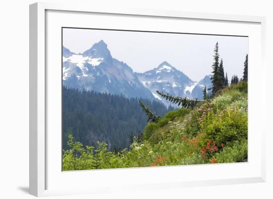 Washington, Mount Rainier National Park. Alpine Meadow and the Tatoosh Range-Jaynes Gallery-Framed Photographic Print