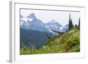 Washington, Mount Rainier National Park. Alpine Meadow and the Tatoosh Range-Jaynes Gallery-Framed Photographic Print