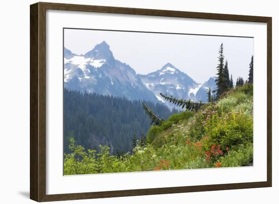 Washington, Mount Rainier National Park. Alpine Meadow and the Tatoosh Range-Jaynes Gallery-Framed Photographic Print